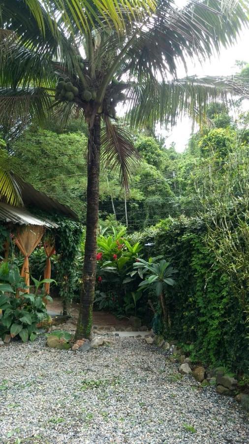 Suites Cocaia Ilhabela Kültér fotó
